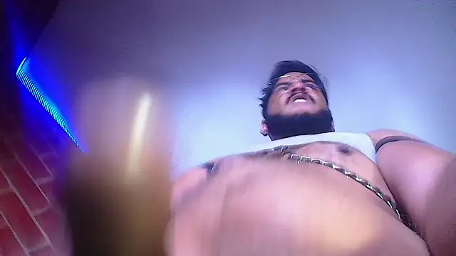 the master foal  online show from January 2025 03:43:01 PM