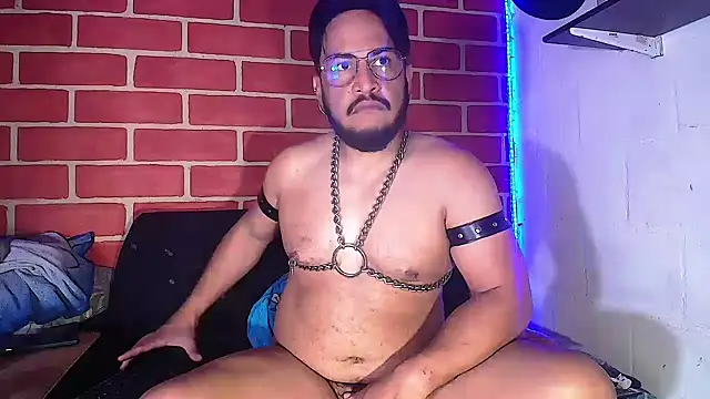 the master foal  online show from January 2025 02:42:02 PM