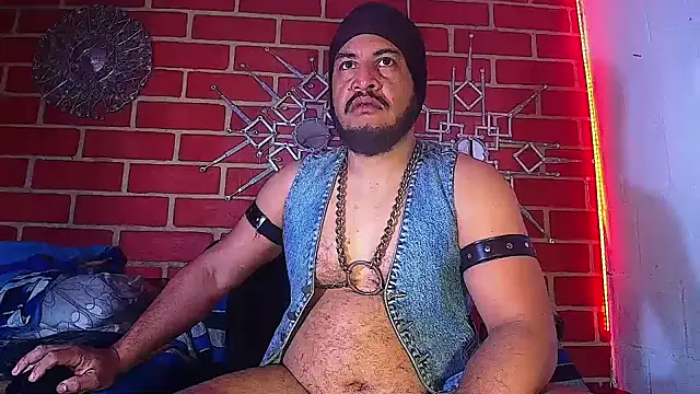 the master foal  online show from March 2025 11:49:02 AM