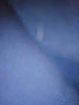 Snapshot of Arbitrair chatting on October 2025 05:37:01 PM Arbitrair online show from October 2025 05:37:01 PM