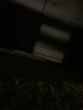 JotaCe2022 online show from April 2026 09:39:01 PM