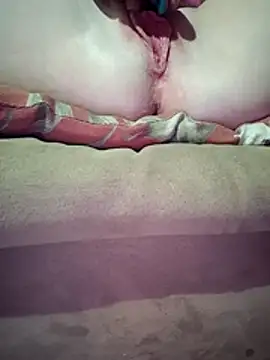 ToysRus24 online show from March 2026 11:49:02 AM