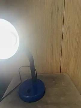 Snapshot of lau_ass_goddess chatting on February 2025 12:19:01 PM lau ass goddess online show from February 2025 12:19:01 PM