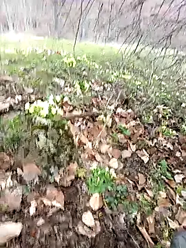 Yaramaz331 online show from March 2026 11:32:01 AM