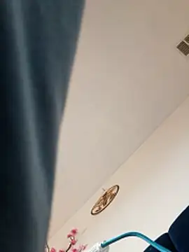 dickmedaddy27 online show from January 2026 04:11:01 PM