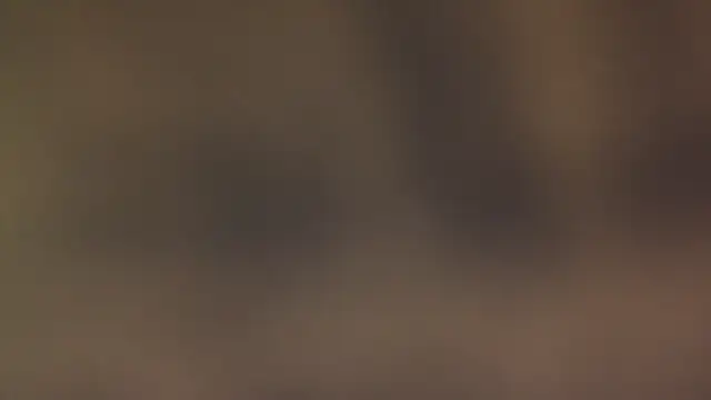 leccaleccafiga online show from March 2026 06:47:01 PM