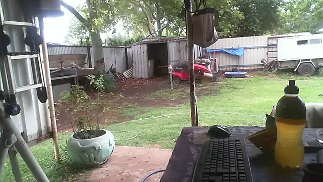 herbie010666 online show from December 2025 03:15:01 AM