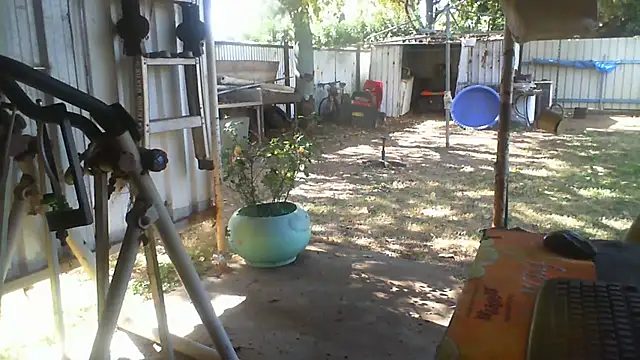 Snapshot of herbie010666 chatting on August 2026 04:03:01 AM herbie010666 online show from August 2026 04:03:01 AM