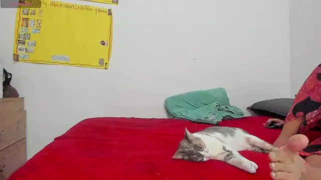 Hela wet online show from November 2025 05:34:01 PM