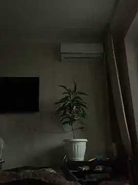 GHsveter online show from January 2025 07:54:01 AM