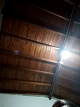 Bigassmommy x online show from November 2025 11:42:01 AM