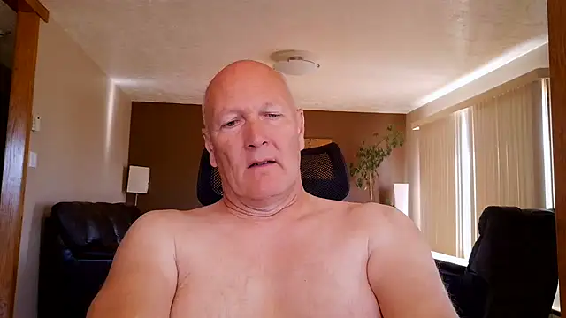 BasicAnt online show from July 2026 02:55:01 PM