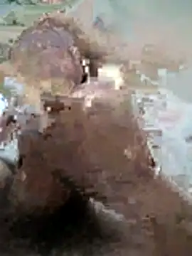 Snapshot of naghmi12 chatting on November 2025 06:08:01 PM naghmi12 online show from November 2025 06:08:01 PM