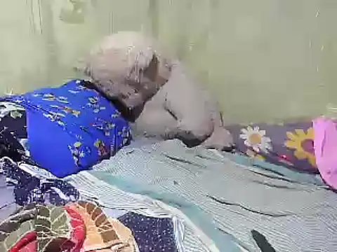 Alora-shine online show from February 2025 09:21:02 AM