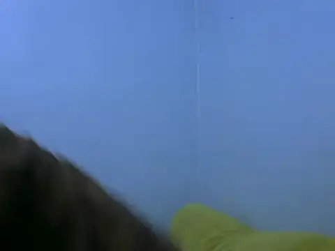 Snapshot of Forsia chatting on February 2025 05:57:02 AM Forsia online show from February 2025 05:57:02 AM