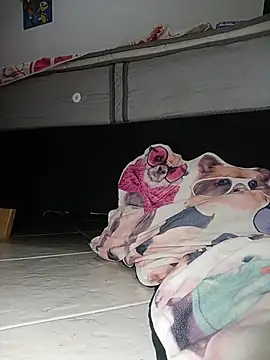 Van3orgasm4me online show from February 2026 07:04:01 AM