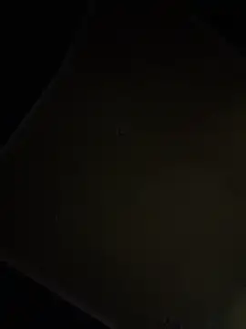 dingoding online show from April 2026 09:39:33 PM