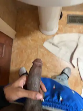 Snapshot of dingoding chatting on May 2026 09:22:01 PM dingoding online show from May 2026 09:22:01 PM