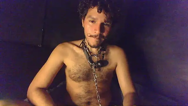 die mond online show from March 2026 07:57:02 AM