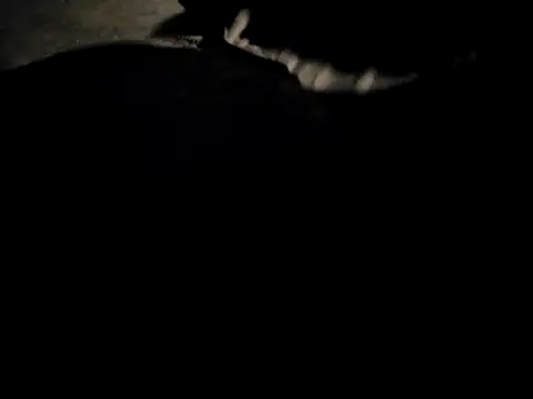 Midwest-exhibistionist online show from February 2026 06:46:02 AM