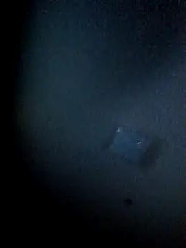 yellowwetfox online show from March 2026 03:39:01 AM