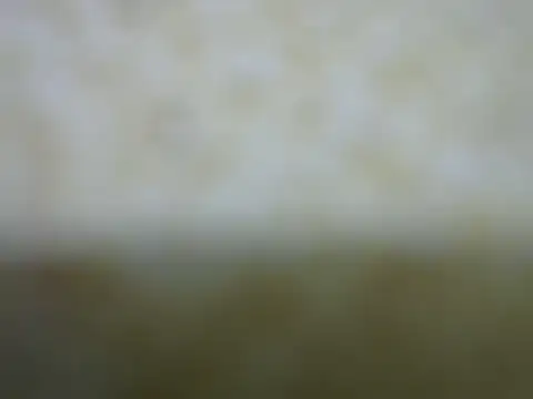 Snapshot of castistee chatting on October 2025 10:36:01 PM castistee online show from October 2025 10:36:01 PM