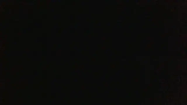 KittyBounty online show from July 2026 08:45:02 PM