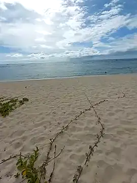 LightedWoman online show from January 2025 11:52:01 AM