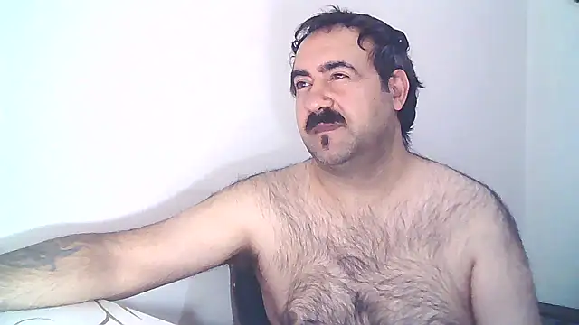 ZYXEL353 online show from February 2025 11:26:02 PM