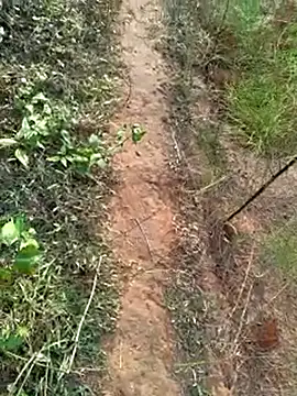 Gopal1243 online show from December 2024 02:01:02 AM