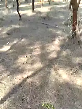 Gopal1243 online show from February 2025 05:33:02 AM