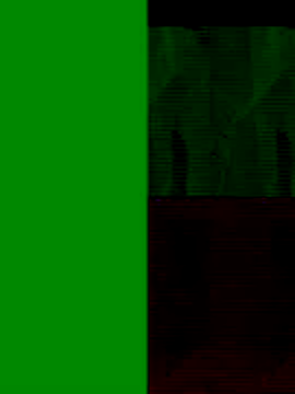 Snapshot of GeilerSchweizer chatting on November 2025 08:47:01 AM GeilerSchweizer online show from November 2025 08:47:01 AM