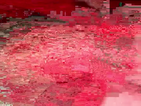 Sex Senfoura Arab online show from January 2026 02:48:02 AM