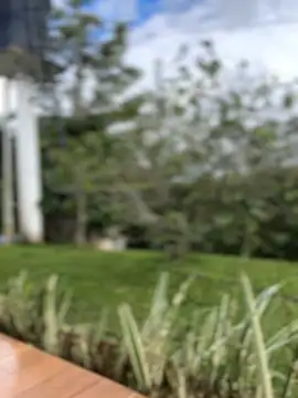 sahorix1 online show from February 2026 03:30:02 PM