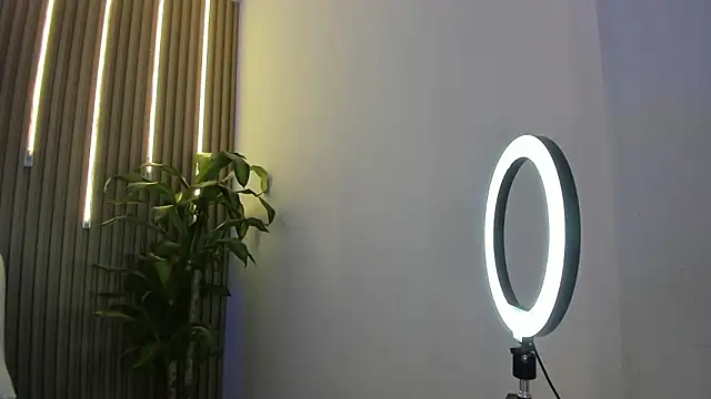 Snapshot of perla7777 chatting on February 2026 01:59:02 AM perla7777 online show from February 2026 01:59:02 AM