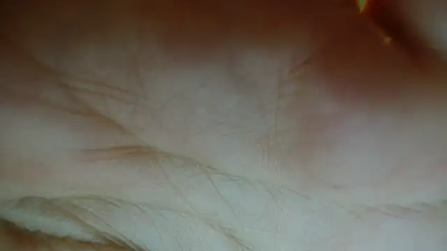 Snapshot of Sassy_Latina chatting on January 2026 03:01:01 AM Sassy Latina online show from January 2026 03:01:01 AM