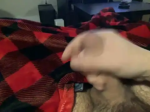 northcock87 online show from December 2024 02:09:01 AM