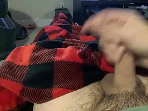 northcock87 online show from December 2024 02:56:02 AM