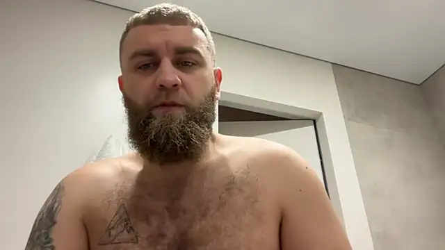 Bear bear  online show from November 2025 09:09:01 AM