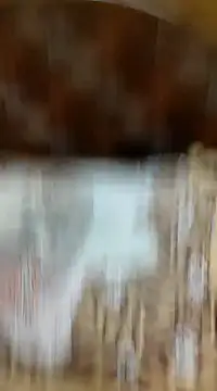 Ansh731989 online show from January 2025 05:45:02 PM