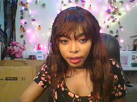 Anaconda2350 online show from November 2025 11:10:02 AM