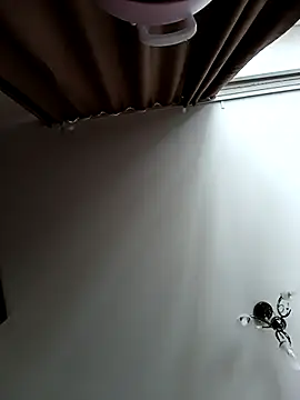 Lovers  Annn online show from March 2026 03:10:01 AM