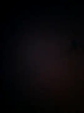Lajkii online show from June 2026 01:47:02 AM