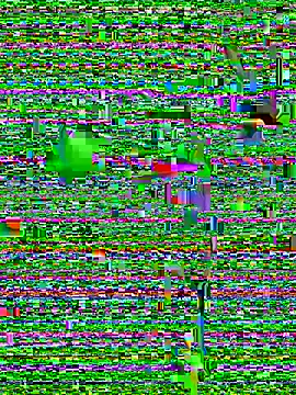 Snapshot of eva_six chatting on December 2024 06:45:02 PM eva six online show from December 2024 06:45:02 PM