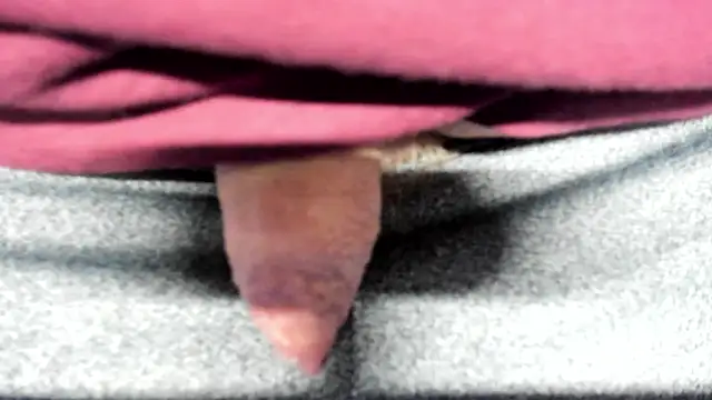 Big Andiy online show from September 2025 03:45:02 AM