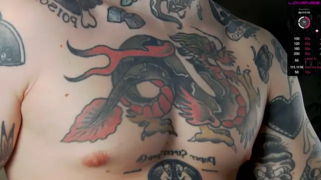 Tommy cat online show from December 2024 05:07:02 AM