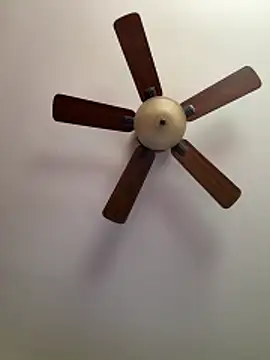 QueenNuttCollector online show from March 2026 04:40:02 PM