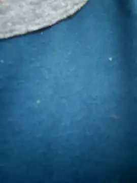 Bangalorebull online show from October 2025 03:20:02 AM