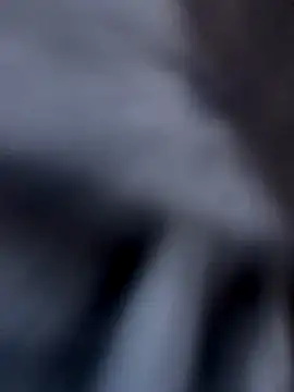 Fellix online show from December 2024 11:44:01 AM