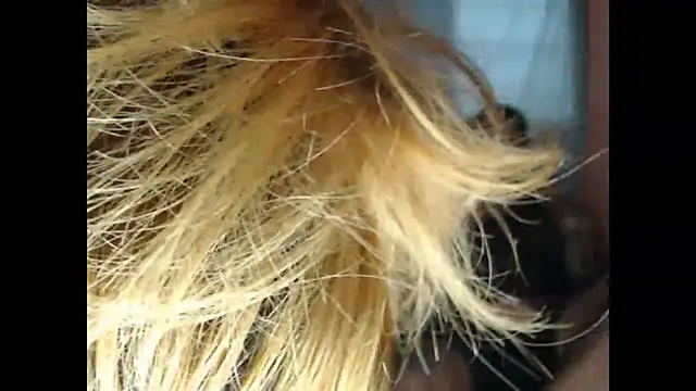 lover 1994 online show from March 2026 12:05:01 PM